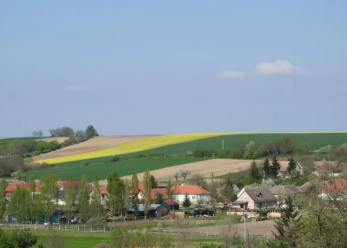 Отель Ela's Ferienoase Haus Ketsching Gorcsonydoboka